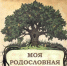 Итоги районного архивного конкурса  генеалогических исследований «Моя родословная» - Верхнеуслонский район