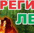 Штормовое предупреждение о высокой и чрезвычайной пожарной опасности лесов на территории Республики Татарстан - Верхнеуслонский район