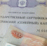 Минтруд планирует изменить программу материнского капитала в России - Волжская новь