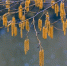 Какой будет погода в Верхнеуслонском районе 4 апреля 2026 года - Волжская новь